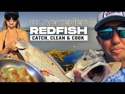 Simple Blackened Redfish Recipe | Catch and Cook | Landed Fishing