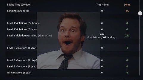 Infinite Flight / Reaching Grade 3 with 0 Violations / Real Pilot (Note The Information)