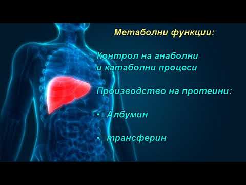 Видео: Функция на черния дроб