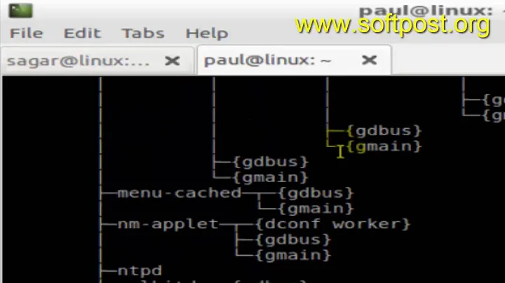 Difference between local shell variable and environment variable in BASH shell terminal