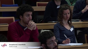 Stefan Friedl: Exceptional 3-manifolds​