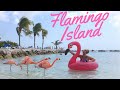 Flamingo Beach Aruba Renaissance Island