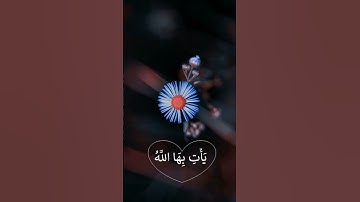 قراءة سورة الملك قبل النوم للنجاة من عذاب القبر دام علي قراتها كل يوم واستعن بالله