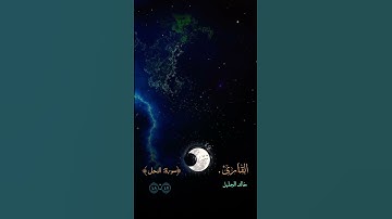 الشيخ خالد الجليل سورة النحل ❤️ #foryou #اكسبلور #قران #راحة_نفسية #لايك #تيك_توك