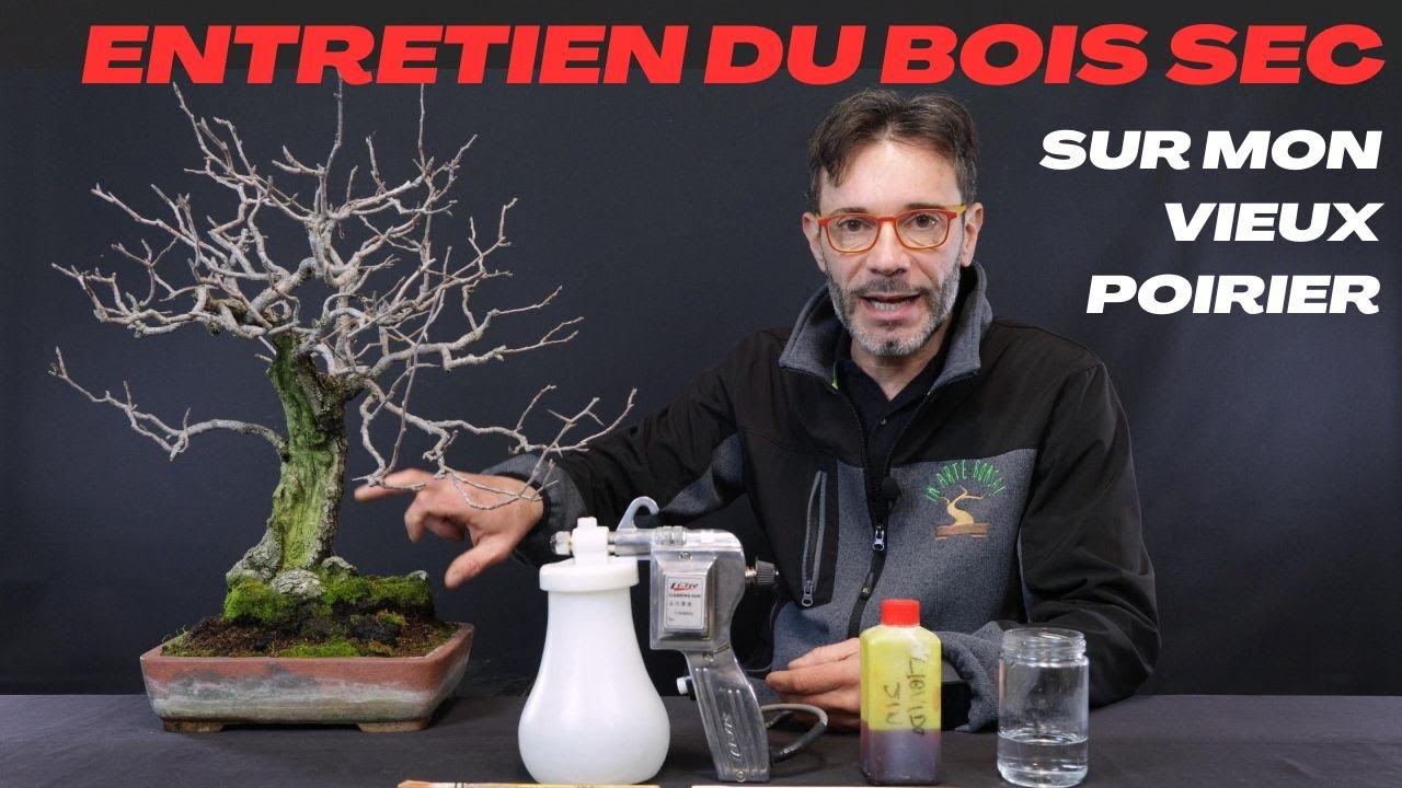 Comment réaliser l'entretien du bois sec