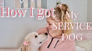 STORY TIME: How I got my service dog by Dallas The Service Doodle 6,233 views 3 years ago 9 minutes, 16 seconds