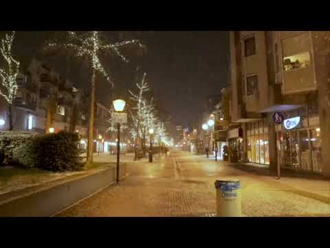 شعر ابو تمام يعيش المرء ما استحيا بخير ويبقى العود مابقي اللحاء بصوتي والمتواضع