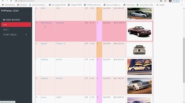 Spinner extension phpMaker 2020 by CasperBR