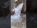 Winters Own Ice Sculpture #winterice