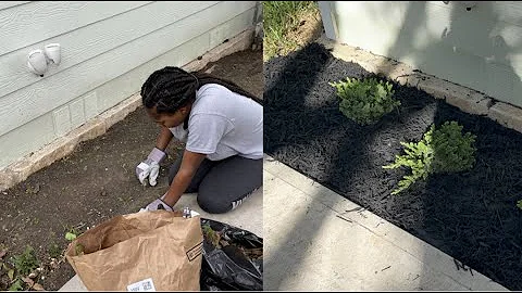 DIY Gardening | Lowes Trip