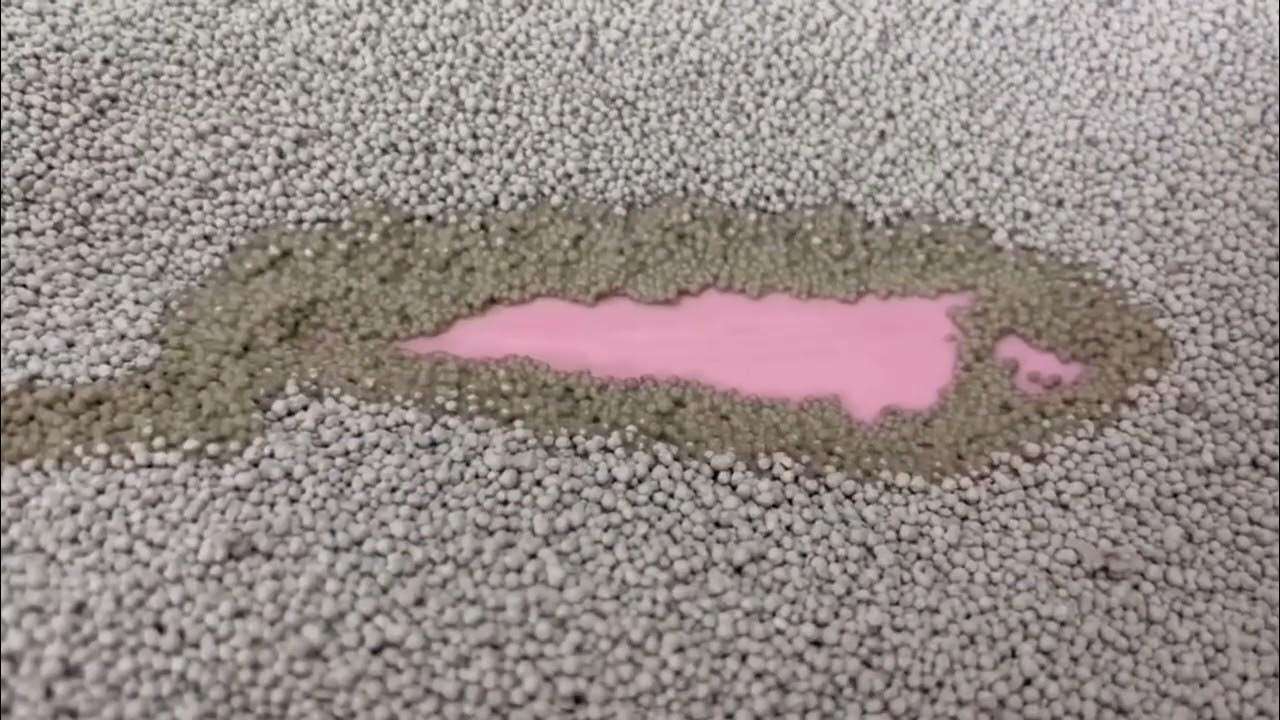 Cat litter water absorption test YouTube