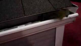 Guttercleaningrobot.avi
