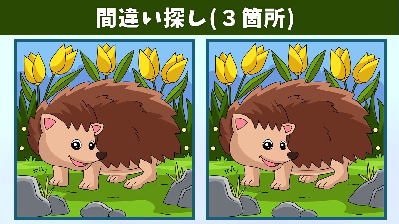 Spot the 3 Differences | Illustration Version #1098 - YouTube