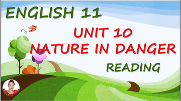 Bee & Ant Channel: English 11 Unit 10 Reading