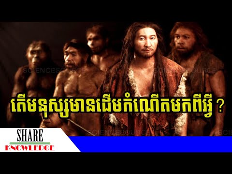 តើមនុស្សមានដើមកំណើតមកពីអ្វី?