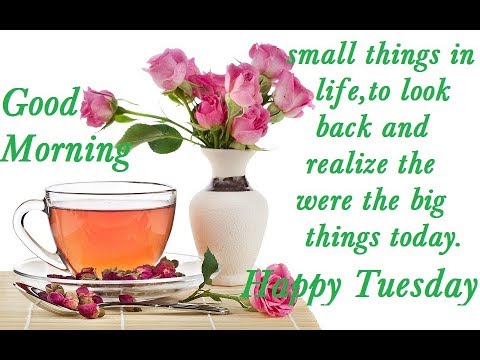 happy tuesday morning, good morning lovely wishes,whatsapp video,greetings,beautiful quotes,e cards