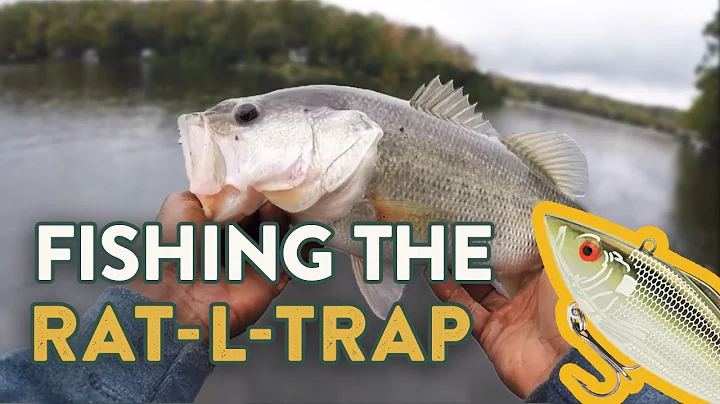 Rat-L-Trap Fishing Tips | How To Fish Lipless Cran...