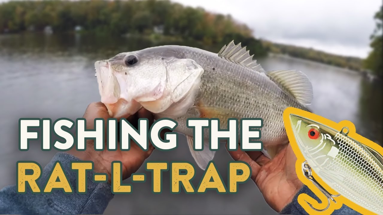 Rat-L-Trap Fishing Tips  How To Fish Lipless Crankbaits (Ft