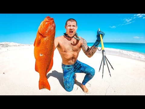 Catch And Cook VS 2 Ocean Hunters