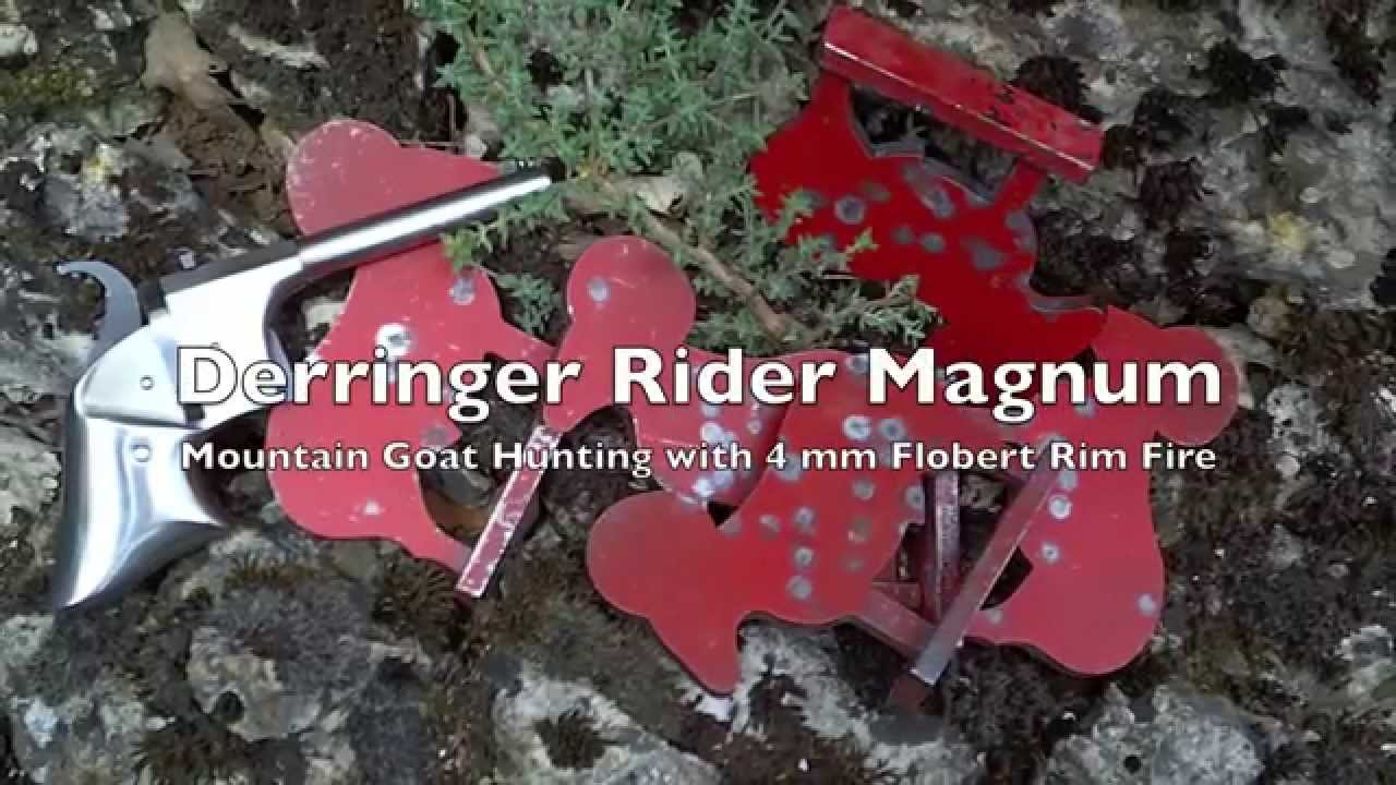 Pedersoli Derringer Rider 4 mm Flobert Plinking - YouTube
