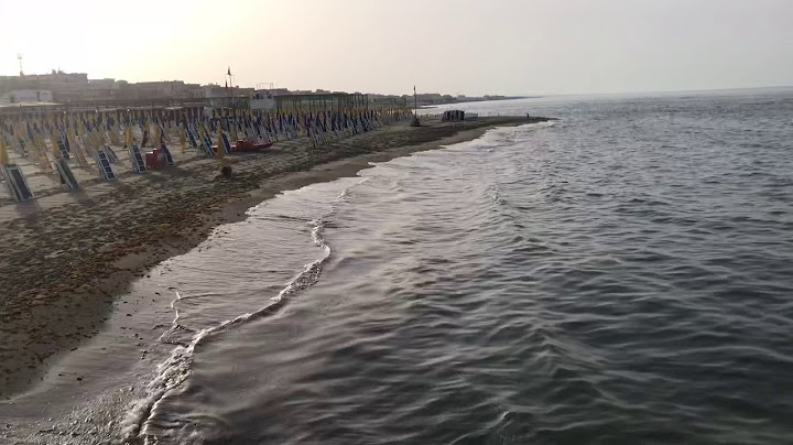 Alghe e mare
