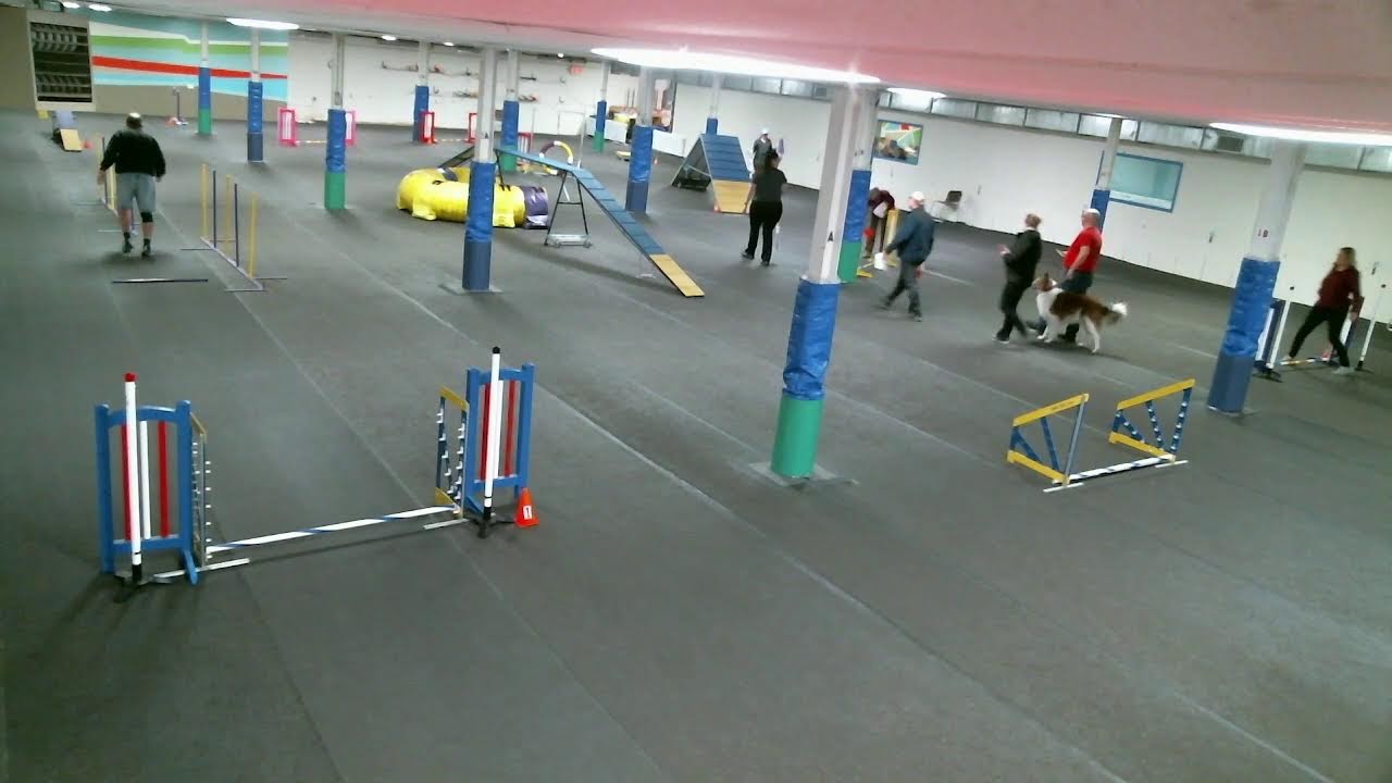 TCOTC Agility Trial March 2023 YouTube