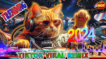 HOT / TRENDING TIKTOK MUSIC 2024 / VIRAL MUSIC NONSTOP REMIX SUMMER 2024