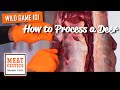 How to Process a Deer - Wild Game 101