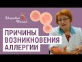 Причины появления (патогенез) аллергии