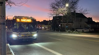 MBTA: 2019-20 New Flyer Xcelsior hybrid XDE40 #2069 on route 71 (+ bonus ride on the Red Line)