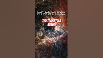 Tarantula Nebula 🕷️✨