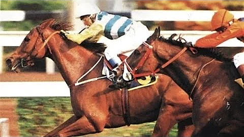 1991 The Sha Tin Trophy - Victory Lantern (凱旋燈) - 馬佳善發揮一絕慢步速殺敗馬王翠河爆出32倍大冷 - 天天要聞