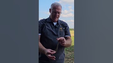 De kracht van het OKM eXp 7000 SuperSense-systeem in actie