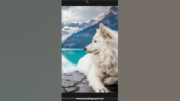 How to Straighten Photos in Photoshop