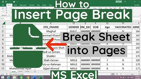 How to Insert Page Break in MS Excel | How to Break Page in MS Excel | MS Excel How to Break Page
