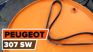 Kuinka korvata Moniurahihna PEUGEOT 508 I SW Kasten / Kombi (8E_) - opetusvideo