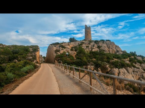 ¿Qué no te puedes perder en Valencia con niños? 2025