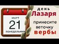 Напеките денежных блинов и посадите цветок мечты...