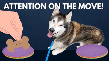 Ping Pong Attention Game