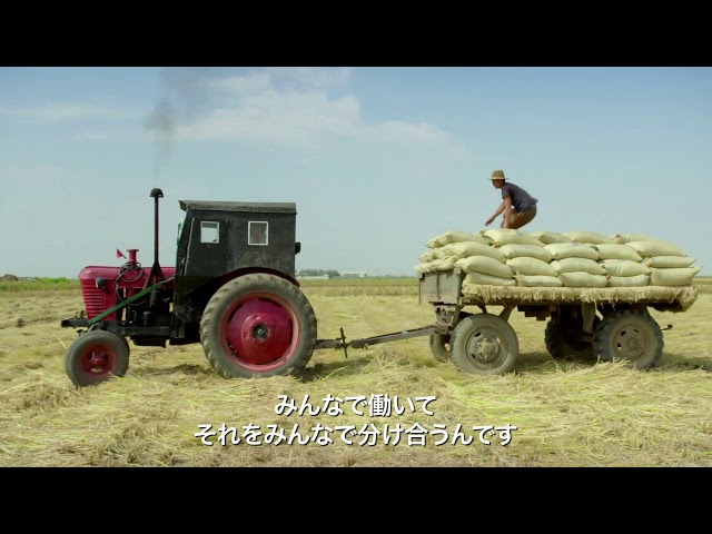 映画『ワンダーランド北朝鮮』予告編