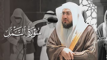 هدوء كهدوء السَحَر وإبداع يليق بالفجر بصوت العندليب الشيخ بندر بليلة من سورة النمل | 9-4-1443هـ