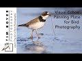 Visual Echos Panning Plate for Bird Photography