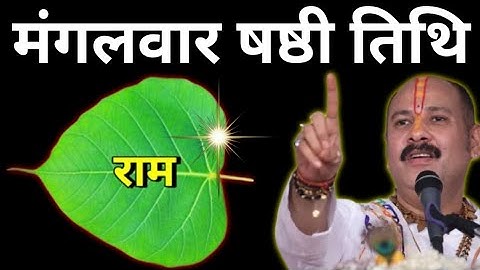 1 जुलाई मंगलवार षष्ठी तिथि के दिन 1 पीपल के पत्ते पर राम वाला उपाय जरुर करे || Pradeep Ji Mishra