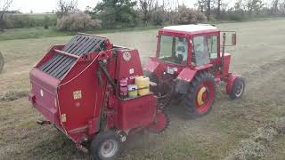 MTZ 550 E Hesston 1300 M Gyep bálázás (Baling grass)