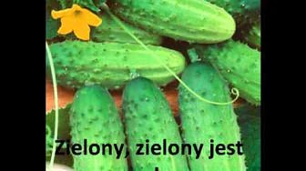 Fasolki - Ogorek Wasaty Fasolki - Ogorek Wasaty
