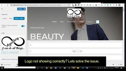 Transparent Header Logo Problem on Astra Theme | WordPress Bug Fixing
