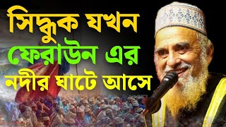 খেলা হবে আসো খেলি অস্ত্র জমা দিছি ট্রেনিং জমা দেইনি।সৈয়দ নজরুল ইসলামের মধুর Syed Nazrul islam waz