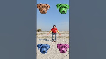 Which God do you believe in? #shankar ji #laxmi ji #ganesh ji #hanuman ji #relegious #devotion