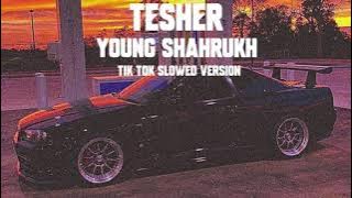 Tesher - YOUNG SHAHRUKH | Tik Tok Slowed Version ( i got 500 dollars in cash )