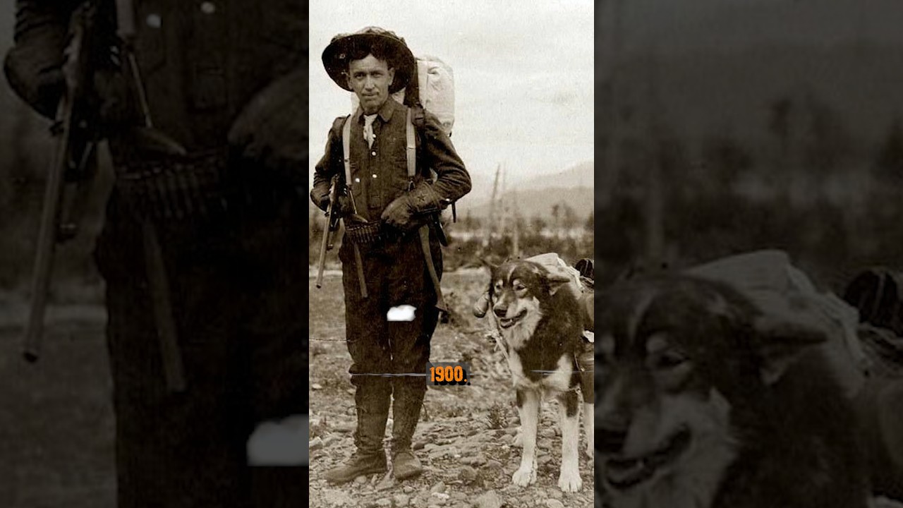 Vintage and historical photos 